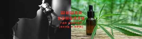 стаф Сосновый Бор